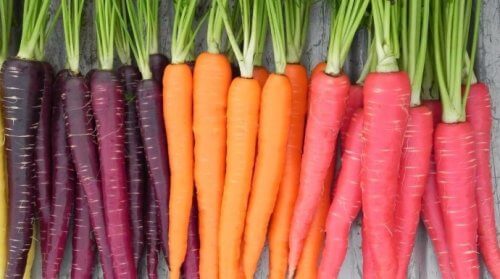 detox10