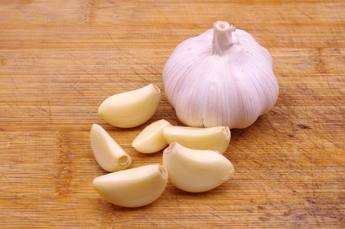 Garlic