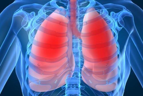 肺機能の低下を表す10の症状と、肺の健康改善方