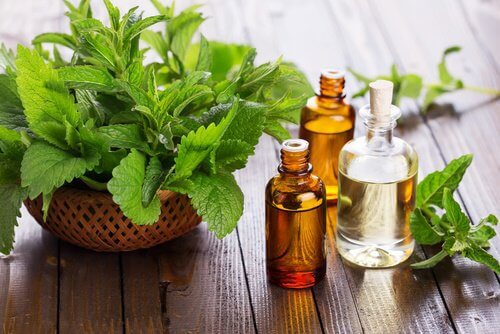 4-mint-oil