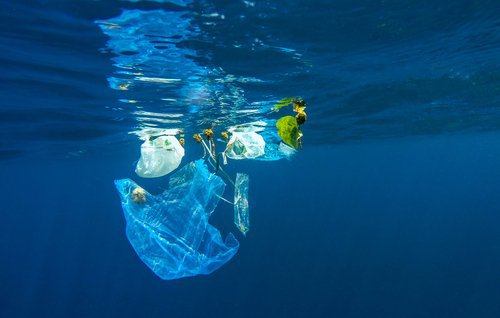 海に廃棄されたプラスチックゴミ