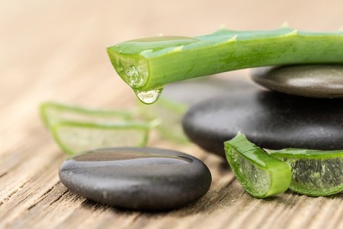 Aloe-vera