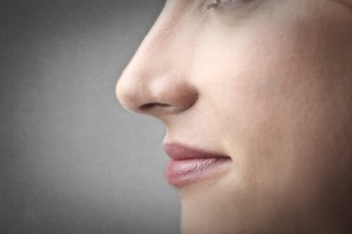 遺伝子の影響：鼻