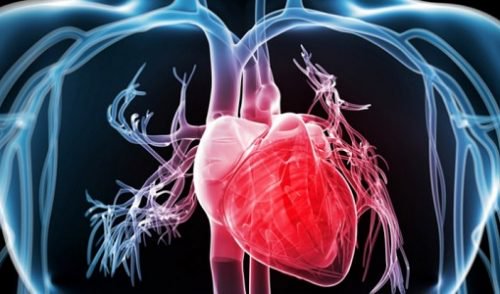 fortalecer-tu-corazon-500x294