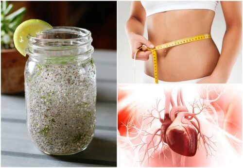 1-chia-and-weight-loss
