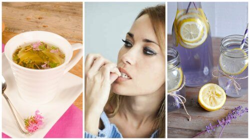 リラックス効果抜群!/心を穏やかにする自然療法薬6選 リラックス効果抜群!/心を穏やかにする自然療法薬6選