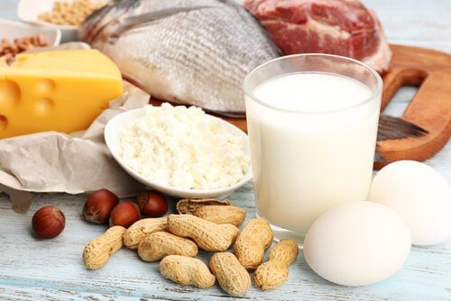 タンパク質が豊富な食べ物