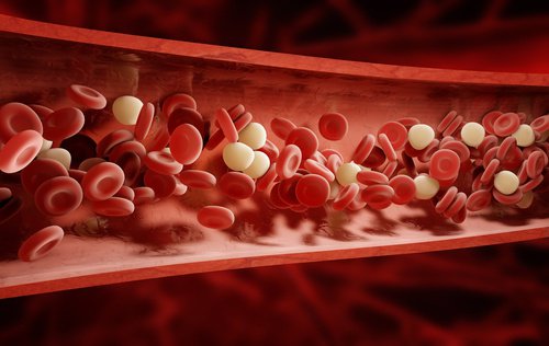 blood vessel
