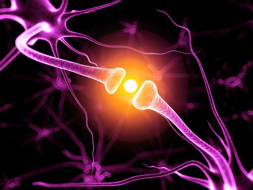 4-neurons