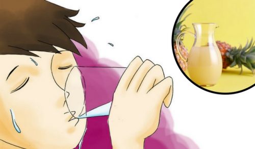 パイナップルの皮を使って腸内フローラを整えよう