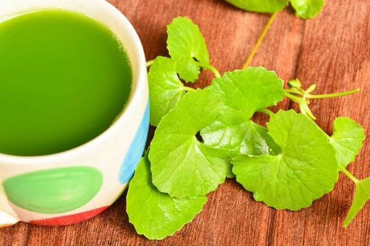 センテラとお茶