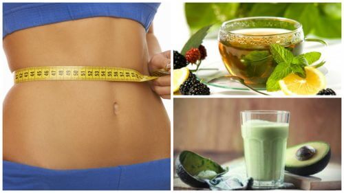 ダイエットにおすすめの緑茶の飲み方4つ ダイエットにおすすめの緑茶の飲み方4つ