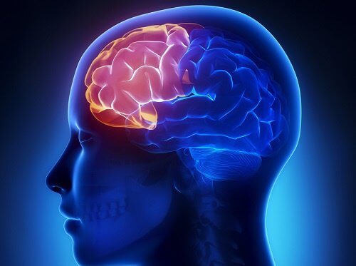 認知症予防のための４つの脳トレ