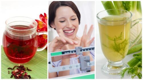 減量効果を向上させるお茶6選 減量効果を向上させるお茶6選