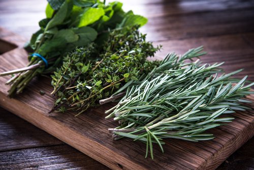 殺虫剤を使わない害虫駆除法4種