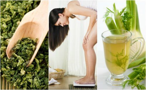 ダイエットにオススメ!/減量促進効果のある薬用植物5選 ダイエットにオススメ!/減量促進効果のある薬用植物5選