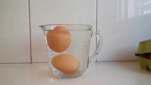 水中の卵