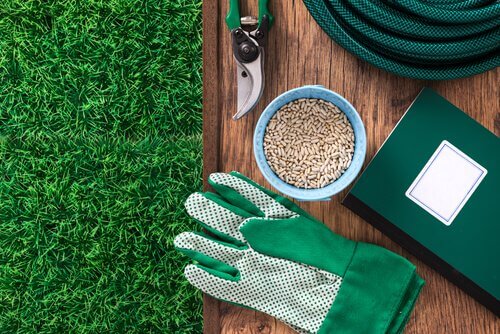 gardening tools