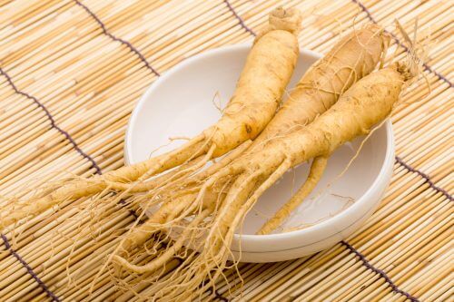 高麗人参