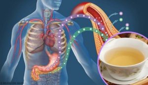 血糖値を下げてくれるお茶4選