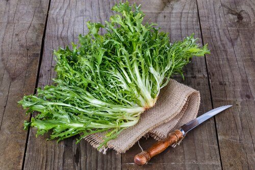 葉野菜とナイフ