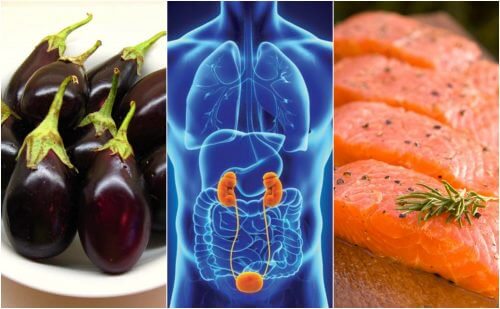 腎臓の健康を促進する７つの食品