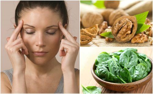 脳機能を活性化させる7つの食品