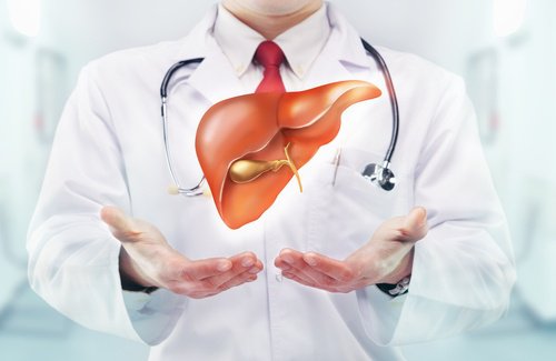 医者と肝臓