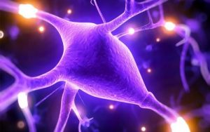 マグネシウムがあなたの知的能力を上げてくれる５つの理由