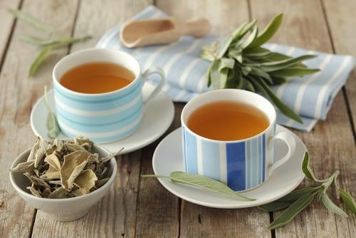 過敏性腸症候群に効くお茶