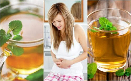 過敏性腸症候群を抑える５つのお茶