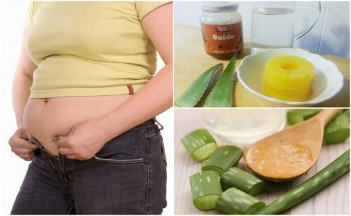 あなたの腸をアロエで綺麗にする5つの方法 あなたの腸をアロエで綺麗にする5つの方法