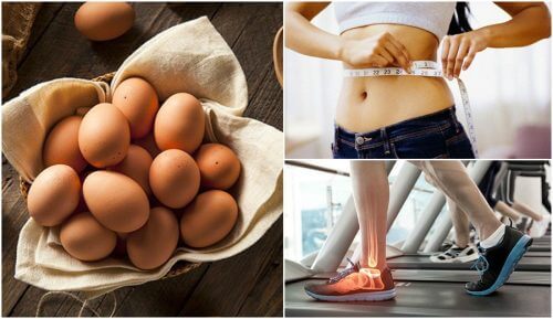 食事に卵を取り入れるべき7つの理由 食事に卵を取り入れるべき7つの理由