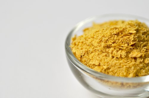 酵母