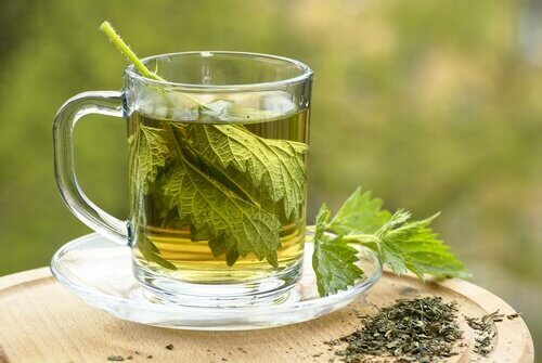 ネトル茶