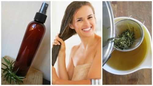 ハーブを使った自家製ヘアコンディショナーで髪を強く ハーブを使った自家製ヘアコンディショナーで髪を強く