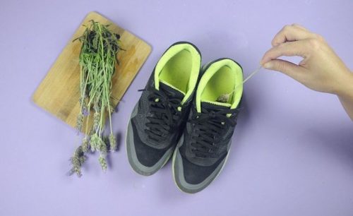 靴とラベンダー
