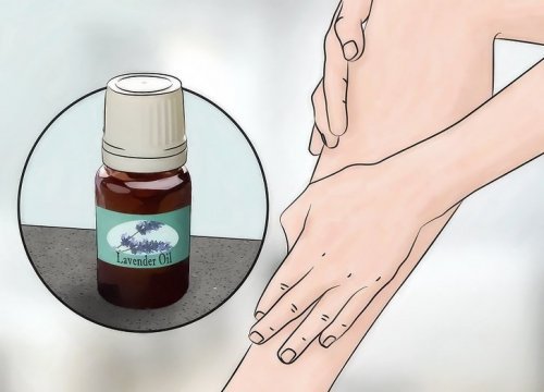 ラベンダー:色々使える素晴らしい精油 ラベンダー:色々使える素晴らしい精油