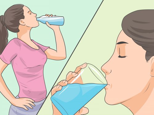 脂肪燃焼に効果的な飲み物7選 脂肪燃焼に効果的な飲み物7選