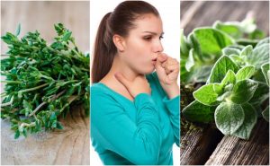 痰のからむ咳を鎮める5種の薬草