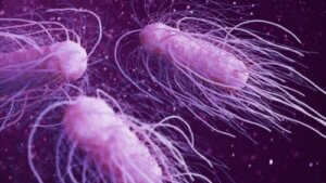 人体に害を及ぼす危険な細菌９種
