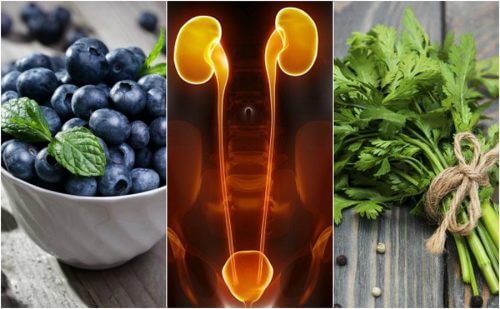 腎臓と膀胱を保護する7つの食品