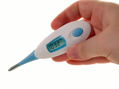 体温計で 体温 を測る