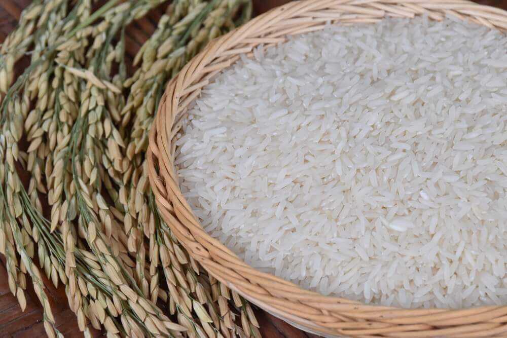 穀類の米
