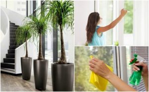家の空気の質を改善する為に出来る6つのこと
