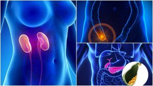 実はなくても生きていける臓器