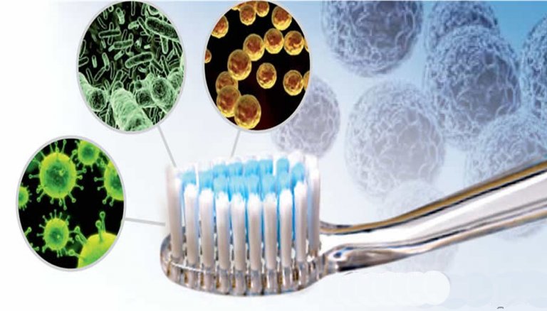 歯ブラシの細菌