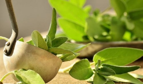 脇のニオイ にはセージ