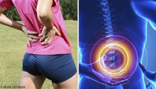 腰を強化するエクササイズ