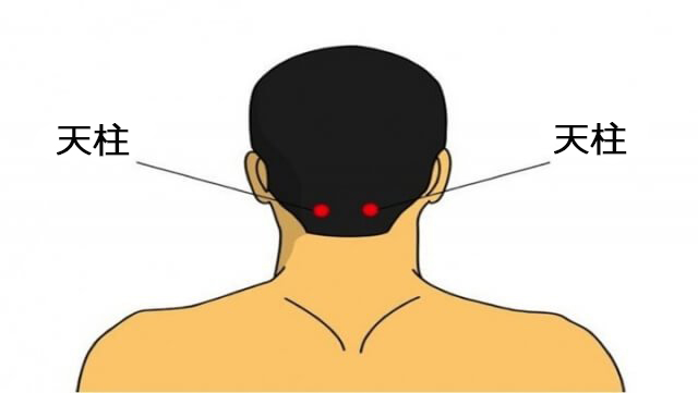 ツボ 天柱